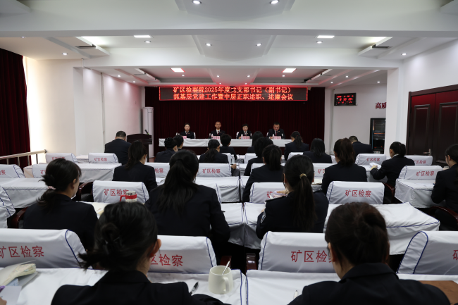 亮绩交卷 谋新奋进丨我院召开2025年度党支部书记（副书记）抓基层党建工作述职述廉会议